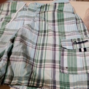 Daniel Cremieux Green and Blue Plaid Swim Trunks